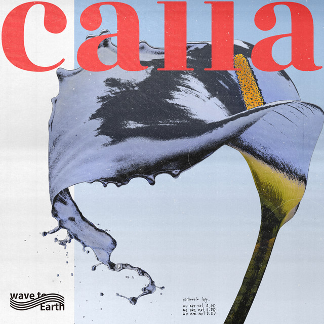 calla cover